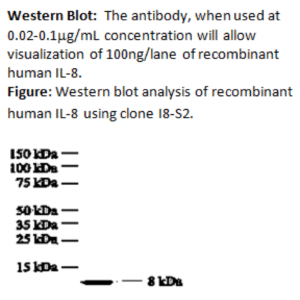 mo c40017a wb large .png