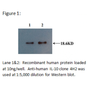 mo c40092a wb f1 2.png