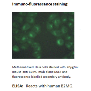 mo m40021b ihc large 2.png