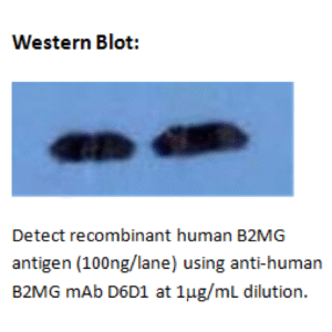 mo m40021d wb large 2.png