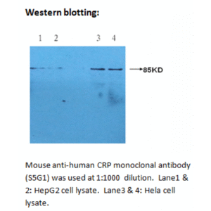 mo m40023e wb large .png