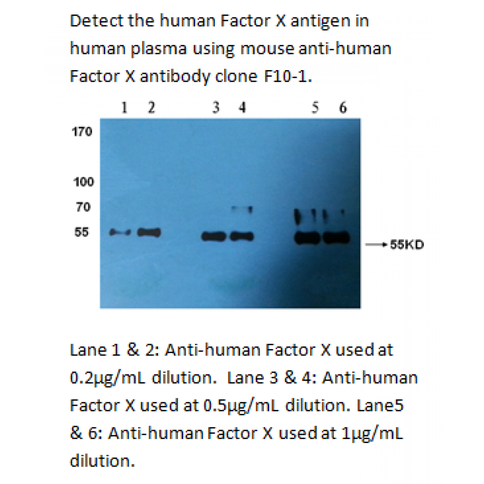 mo m40039 wb2 large .png mo m40039 wb2 large .png