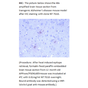 mo m40094i ihc large 3.png