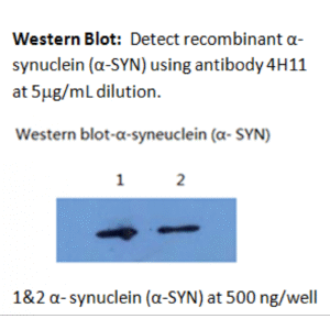 mo m40097a wb large .png