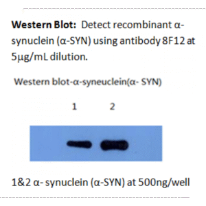 mo m40097d wb large .png