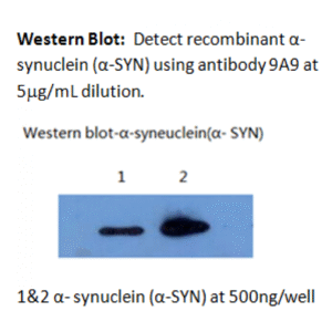 mo m40097e wb large .png