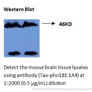 mo m40099a wb large .png