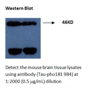 mo m40099c wb large .png