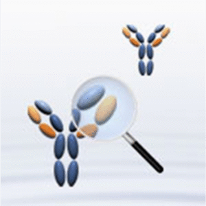 picture555 4 1 1.png